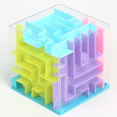 Головоломка- лабиринт "Восторг" Puzzle