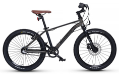 Maxiscoo Детский велосипед Maxiscoo 7Bike Pro Disc 20" (2024), серый