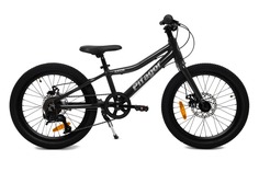Pifagor Детский велосипед Pifagor Axiom 20" (2024), чёрный