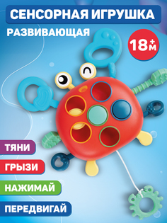 Развивающая игрушка Smat Baby Сортер-Прорезыватель для малышей ТМ JB0334163 Джамбо Тойз