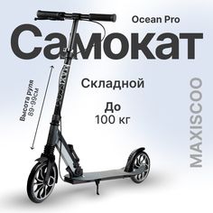 Самокат Maxiscoo Z-MSC-OA-23 серый