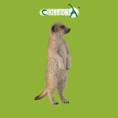 Фигурка Collecta животного Сурикат