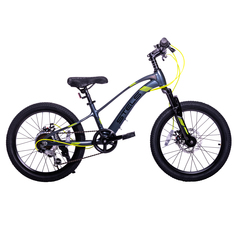 Велосипед детский Stels Leader-230 MD 20 Z010 2023 года серо-черный