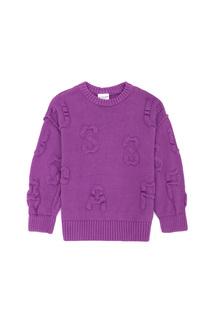 Джемпер детский US Polo Assn G084SZ0TK0CASEKIDS_VR037, фиолетовый, 122