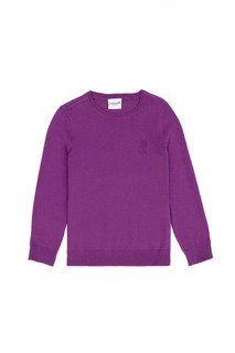 Джемпер детский US Polo Assn G084SZ0TK0KCB01-SK23_VR203, фиолетовый, 122