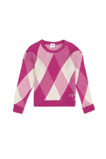 Джемпер детский US Polo Assn G084SZ0TK0ADELKIDS_VR037, фиолетовый, 110