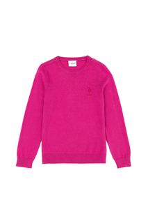Джемпер детский US Polo Assn G084SZ0TK0KCB01-SK23_VR037, фиолетовый, 110