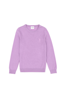 Джемпер детский US Polo Assn G084SZ0TK0KCB01-SK23_VR034, сиреневый, 134