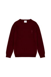 Джемпер детский US Polo Assn G083SZ0TK0ECB01-SK23_VR014, бордовый, 110