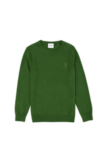 Джемпер детский US Polo Assn G083SZ0TK0ECB01-SK23_VR054, зеленый, 134