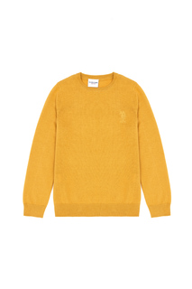 Джемпер детский US Polo Assn G083SZ0TK0ECB01-SK23_VR072, желтый, 98