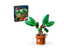 Конструктор LEGO Harry Potter Мандрагора, 579 деталей, 76433