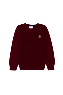 Джемпер детский US Polo Assn G083SZ0TK0TCDUNIVKIDS-BSK23_VR014, бордовый, 134