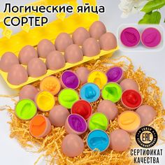 Сортер Яйца No Brand