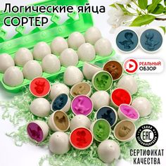 Сортер Яйца Динозавры 12шт контейнер No Brand