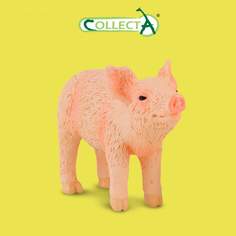 Фигурка Collecta животного Поросенок, нюхающий