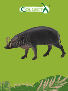 Фигурка Collecta животного Свинья Сулавеси Бабируса