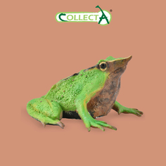 Фигурка Collecta животного Лягушка Дарвина