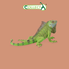 Фигурка Collecta животного Игуана
