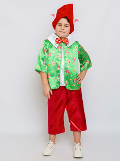 Карнавальный костюм Гном Вася Batik 2191 к-24, мультиколор, 128 Батик