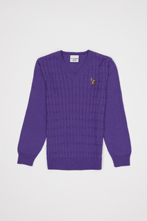 Джемпер детский US Polo Assn G084SZ0TK0TD02KIDS, фиолетовый, 110