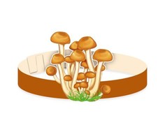 Маска-ободок Сфера Опята МА-12073