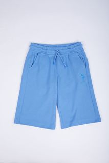Шорты детские US Polo Assn G083SZ0OS0GUNDERIY024_VR032, синий, 122