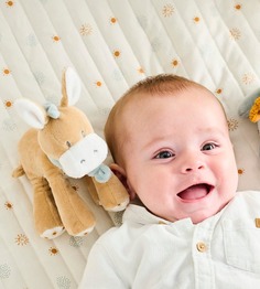 Игрушка мягкая Nattou Rattle MINI FELIX & LEO Ослик 595032 (167862)