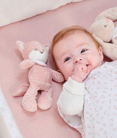 Игрушка мягкая Nattou Rattle MINI ALICE & POMME Лисичка 485142 (166640)
