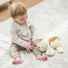 Игрушка мягкая Nattou Musical Soft toy CHARLIE Собачка музыкальная vanilla 388023 (166658)
