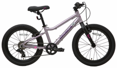 Maxiscoo Детский велосипед Maxiscoo 5Bike 20 Girl (2024), розовый