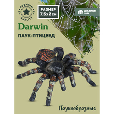 Коллекционная фигурка Джамбо Тойз Паукообразные Паук птицеед JB0211917