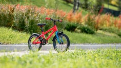 Детский велосипед Format Kids 16, год 2022, цвет Красный