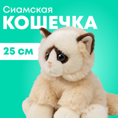 Мягкая игрушка реалистичная MAXITOYS сиамская кошечка MT-TS112311-25