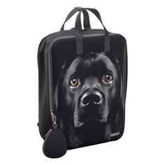 Рюкзак ErichKrause StreetLine 16L Black Dog 60343