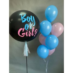 Набор шаров с гелием №141 Гендер 000001664, 8 шт No Brand