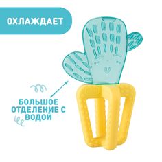 Игрушка-прорезыватель с зубным кольцом Chicco Кактус, 4 мес+