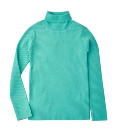 Водолазка детская Kari AW24C86203218, мятный, 11-12