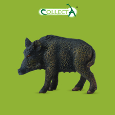 Фигурка животного Дикая свинья Collecta