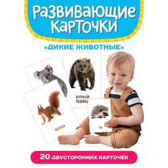 Обучающие карточки Дикие животные, 12х18 см, 20 двусторонних карточек Проф Пресс