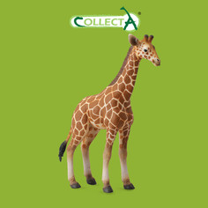 Фигурка животного Collecta, Жеребенок сетчатого жирафа