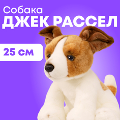 Мягкая игрушка реалистичная MAXITOYS собачка джек рассел MT-TS112306-25