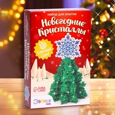 Набор для опытов Эврики Чудесные кристаллы, елка со звездой