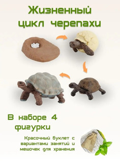 Обучающий набор фигурок Animal paradise жизненный цикл черепахи, 4 фигурки
