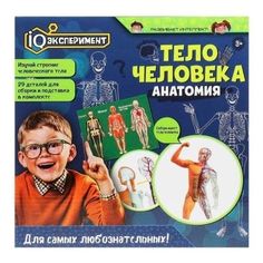 Настольная игра опыты тело человека IQ-эксперимент No Brand