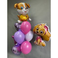 Набор шаров с гелием 444 - щенячий патруль No Brand