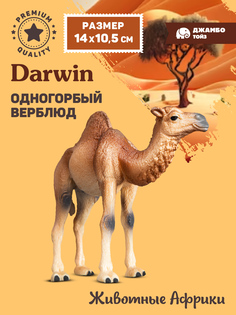 Фигурка коллекционная Джамбо Тойз Одногорбый верблюд Животные Африки JB0211920