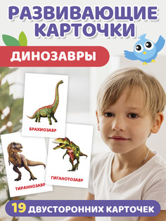 Обучающие карточки Динозавры, 12х18 см, 20 двусторонних карточек Проф Пресс