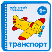 Мой первый словарик (EVA) Транспорт Мозаика Синтез