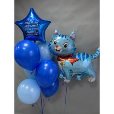 Набор шаров с гелием 425 любимый котенок No Brand